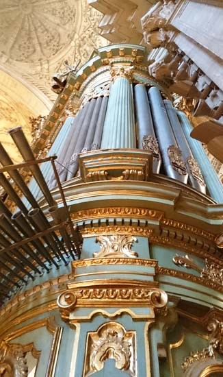 Ilustración de Catedral de Málaga