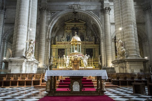 Ilustración de Catedral de Málaga