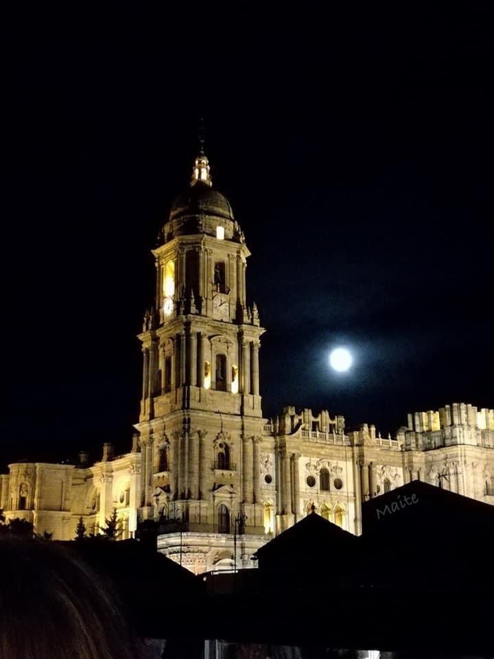 Ilustración de Catedral de Málaga