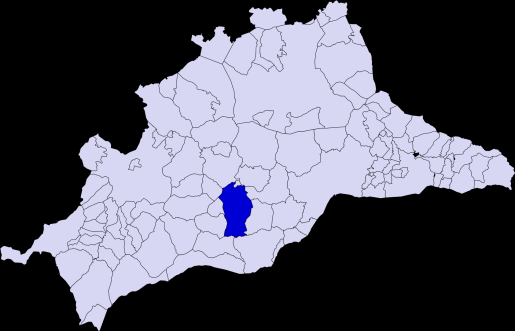 Ilustración de Coín