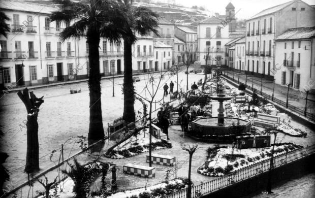 Ilustración de Coín