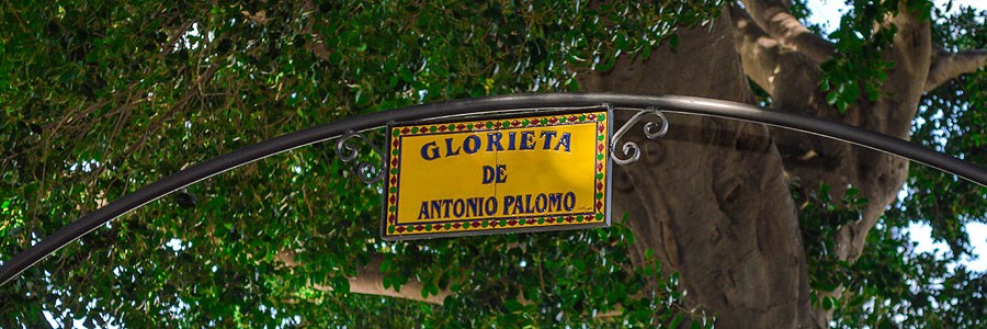 Ilustración de Coín