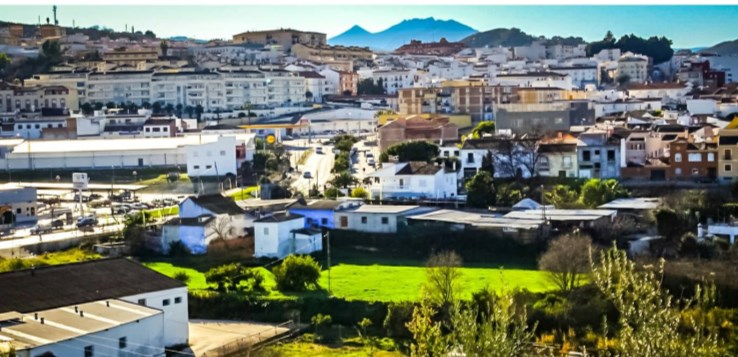 Ilustración de Coín