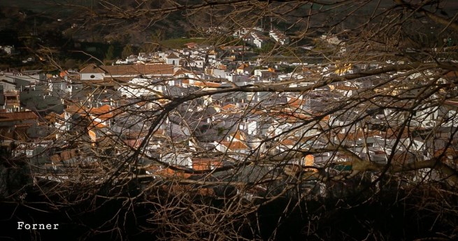 Ilustración de Coín