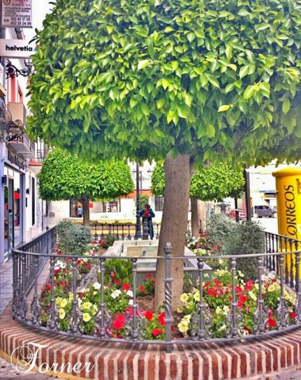 Ilustración de Coín