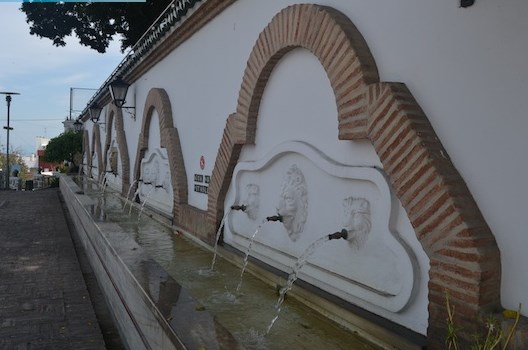 Ilustración de Coín