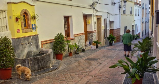 Ilustración de Coín