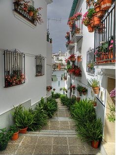 Ilustración de La Axarquía