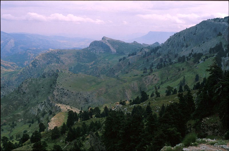 Ilustración de Serranía de Ronda
