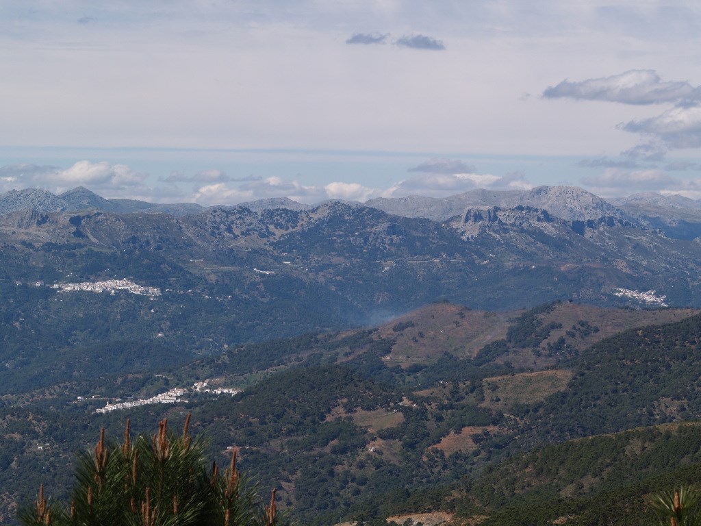 Ilustración de Serranía de Ronda