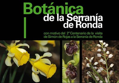 Ilustración de Serranía de Ronda