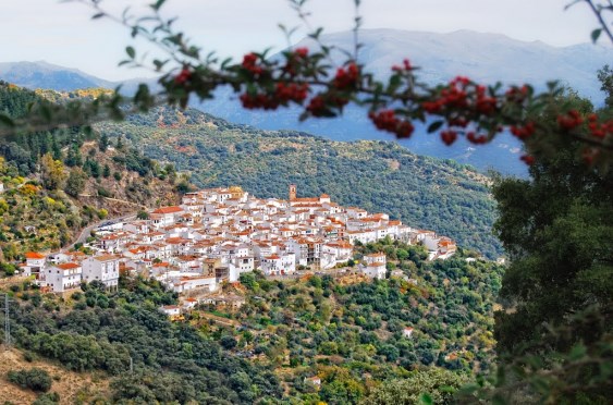 Ilustración de Serranía de Ronda
