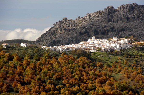 Ilustración de Serranía de Ronda