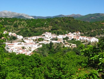 Ilustración de Serranía de Ronda
