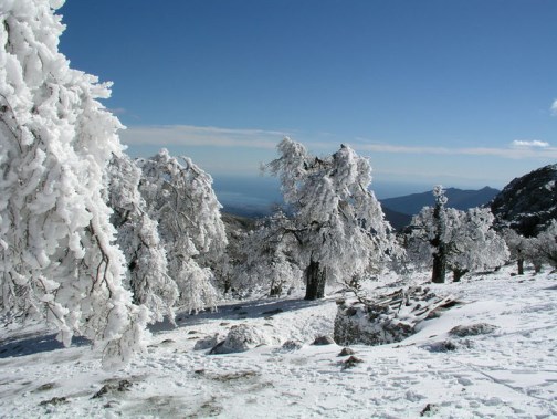Ilustración de Sierra de las Nieves