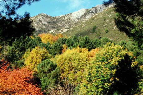 Ilustración de Sierra de las Nieves