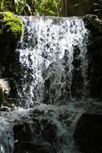 Ilustración de Sierra de las Nieves