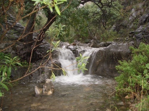 Ilustración de Sierra de las Nieves