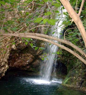 Ilustración de Sierra de las Nieves