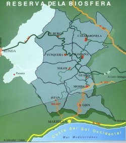 Ilustración de Sierra de las Nieves