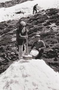 Ilustración de Sierra de las Nieves