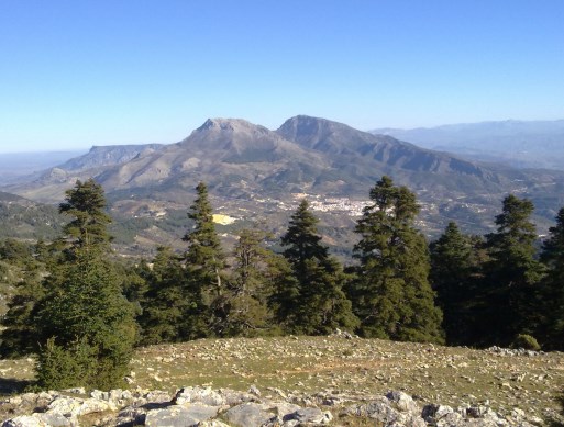 Ilustración de Sierra de las Nieves