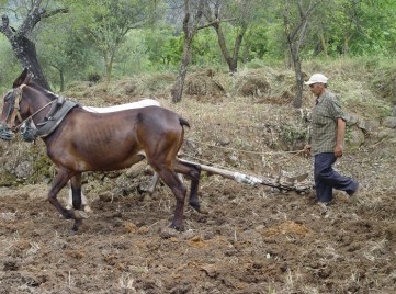 Ilustración de Sierra de las Nieves