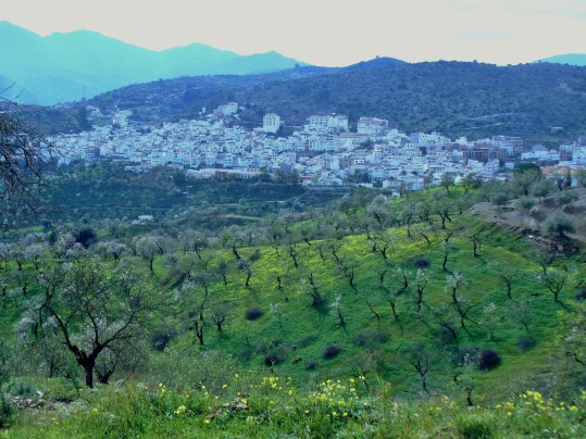Ilustración de Sierra de las Nieves