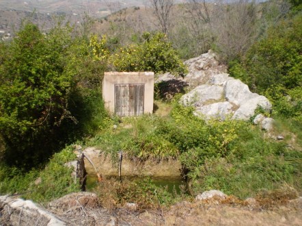 Ilustración de Comares