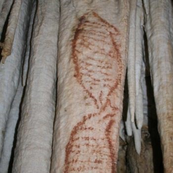Ilustración de La Cueva de las Estegamitas, en La Araña
