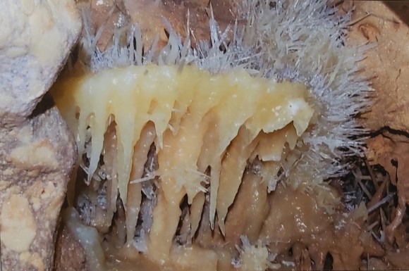Ilustración de La Cueva de las Estegamitas, en La Araña
