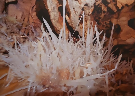Ilustración de La Cueva de las Estegamitas, en La Araña