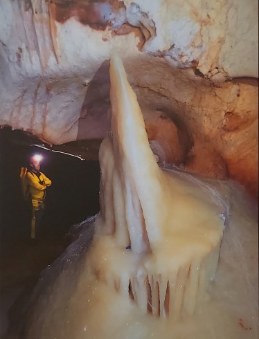 Gran estegamita
