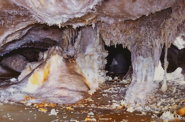 Ilustración de La Cueva de las Estegamitas, en La Araña