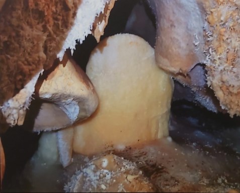Ilustración de La Cueva de las Estegamitas, en La Araña