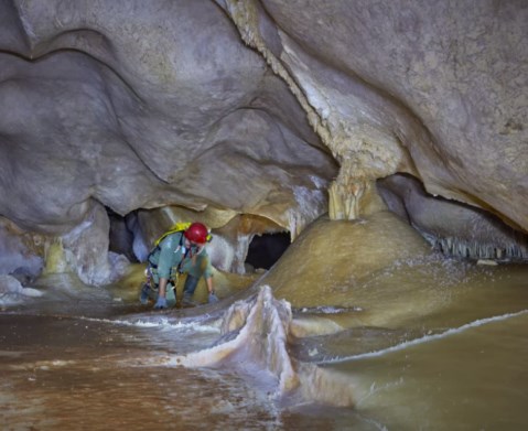 Ilustración de La Cueva de las Estegamitas, en La Araña