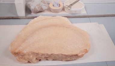 Ilustración de La Cueva de las Estegamitas, en La Araña