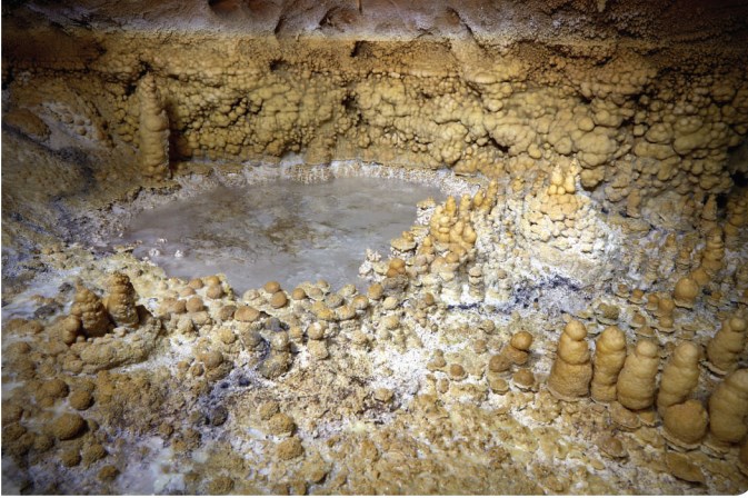Ilustración de La Cueva de las Estegamitas, en La Araña