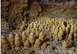 Ilustración de La Cueva de las Estegamitas, en La Araña