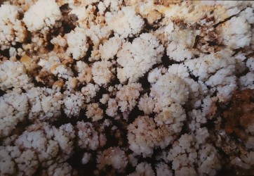 Ilustración de La Cueva de las Estegamitas, en La Araña