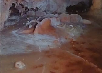 Ilustración de La Cueva de las Estegamitas, en La Araña