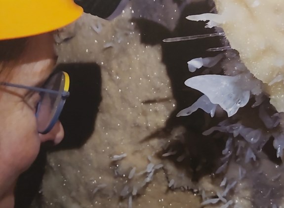 Ilustración de La Cueva de las Estegamitas, en La Araña