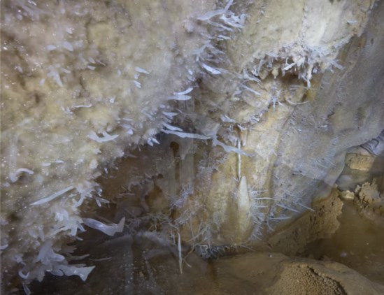 Ilustración de La Cueva de las Estegamitas, en La Araña