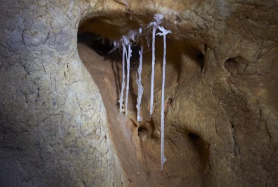 Ilustración de La Cueva de las Estegamitas, en La Araña