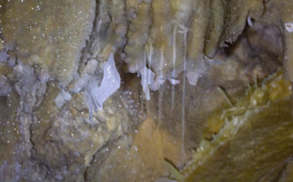 Ilustración de La Cueva de las Estegamitas, en La Araña