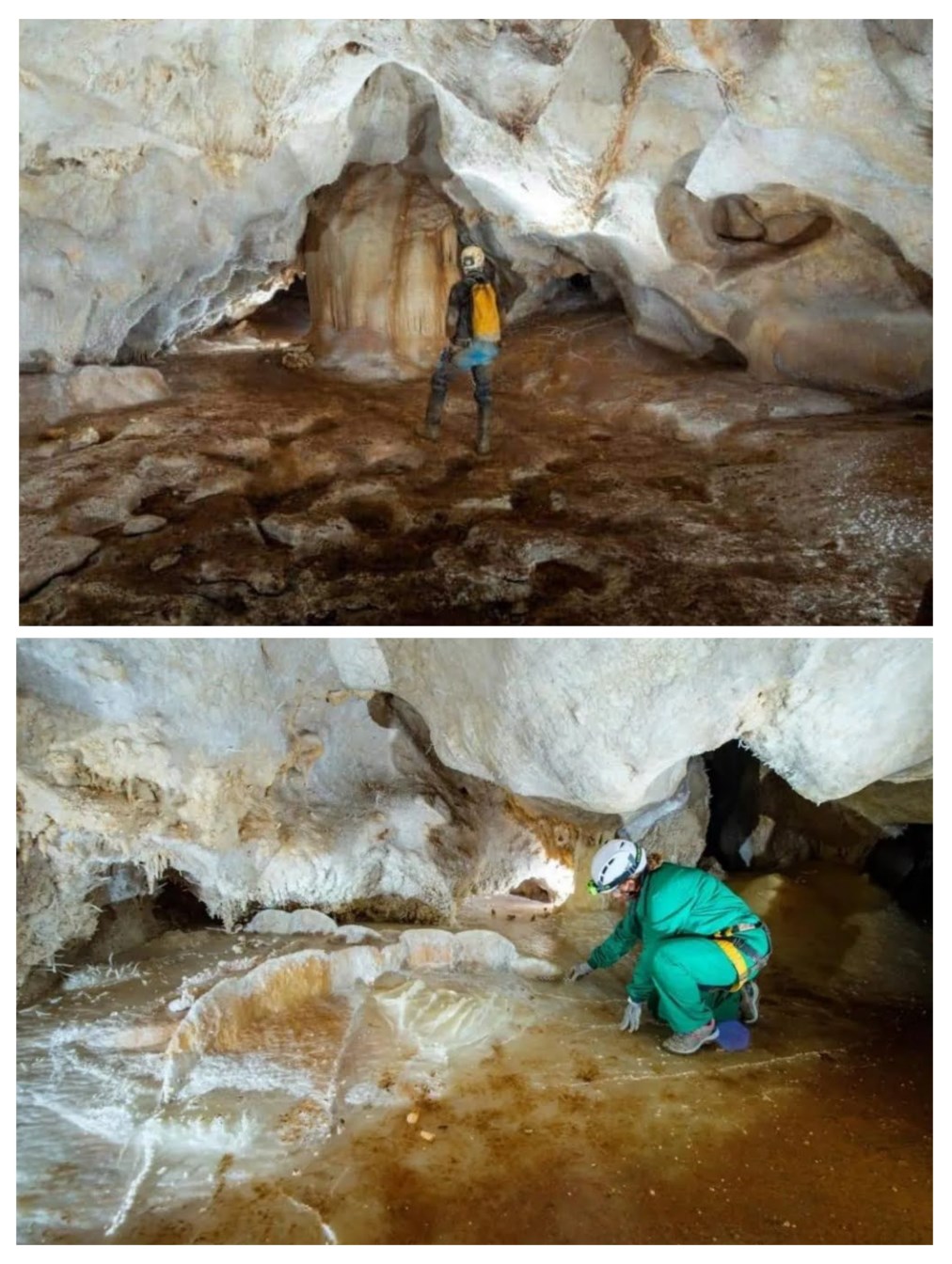 Ilustración de La Cueva de las Estegamitas, en La Araña