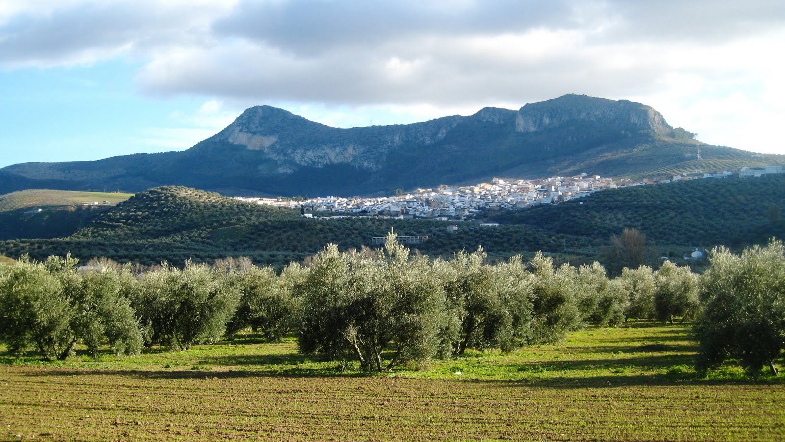 Cuevas de San Marcos
