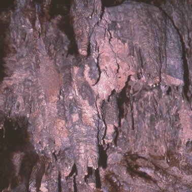 Ilustración de Cuevas de San Marcos