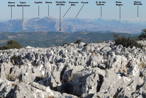 Ilustración de Cuevas del Becerro