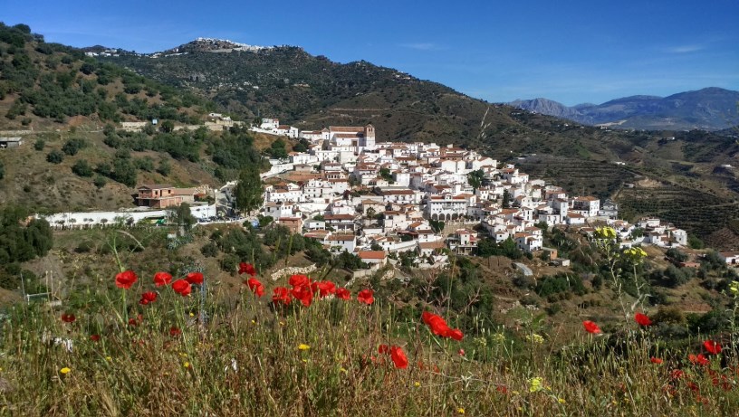 Cútar